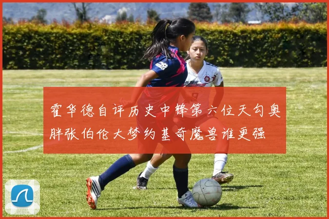 霍华德自评历史中锋第六位天勾奥胖张伯伦大梦约基奇魔兽谁更强