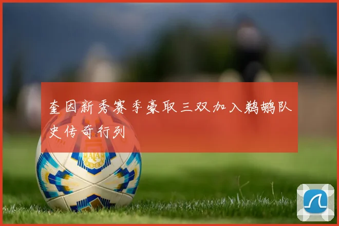奎因新秀赛季豪取三双加入鹈鹕队史传奇行列
