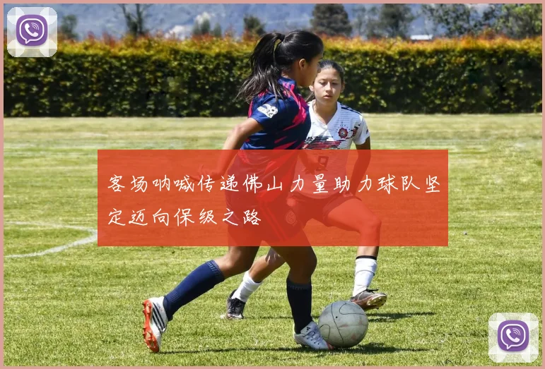 客场呐喊传递佛山力量助力球队坚定迈向保级之路