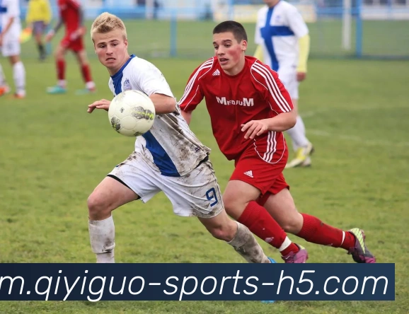 App Interface Preview